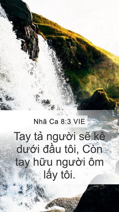 Nhã Ca 8:3 VIE Bible Verse Image
