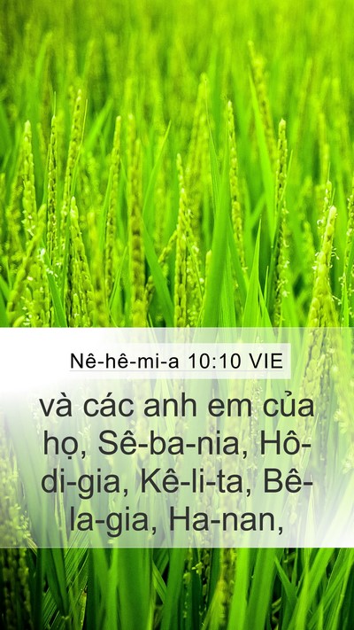 Nê-hê-mi-a 10:10 VIE Mobile Phone Wallpaper - và các anh em của họ, Sê-ba-nia, - Mobile Bible Verse Wallpaper