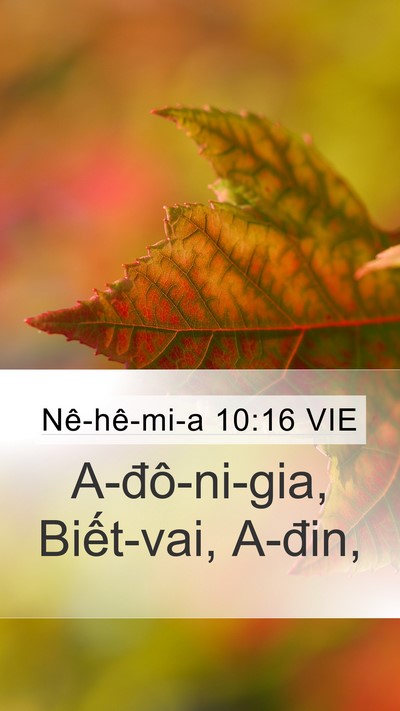 Nê-hê-mi-a 10:16 VIE Mobile Phone Wallpaper - A-đô-ni-gia, Biết-vai, - Mobile Bible Verse Wallpaper