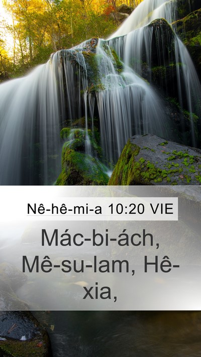 Nê-hê-mi-a 10:20 VIE Bible Verse Image