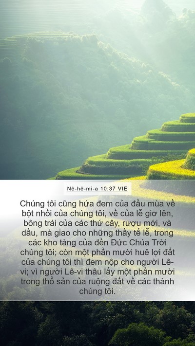 Nê-hê-mi-a 10:37 VIE Bible Verse Image