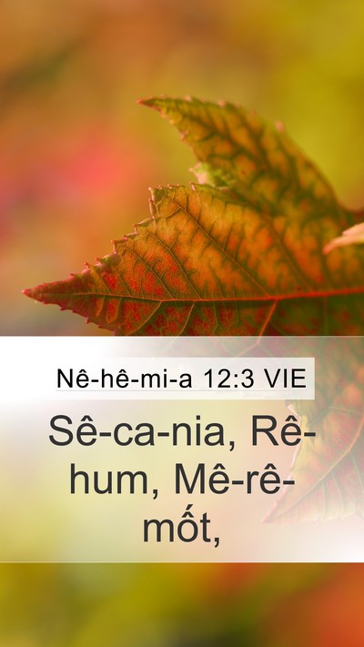 Nê-hê-mi-a 12:3 VIE Bible Verse Image