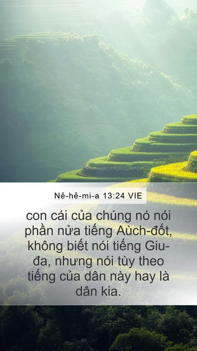 Nê-hê-mi-a 13:24 VIE Bible Verse Image