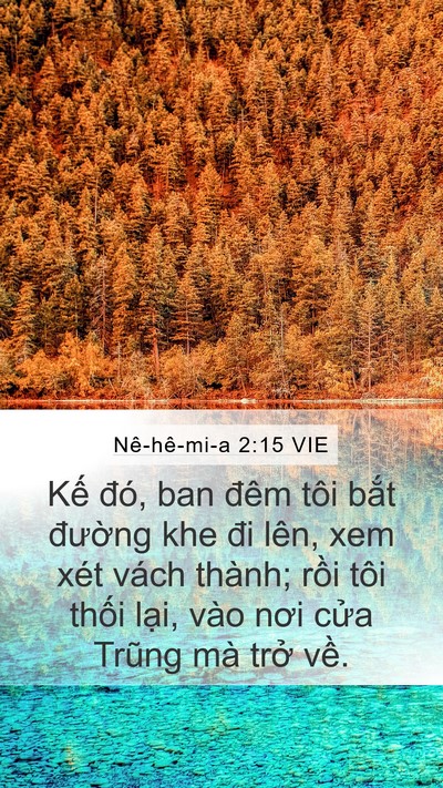 Nê-hê-mi-a 2:15 VIE Bible Verse Image