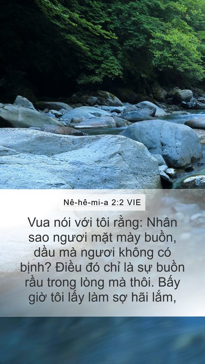 Nê-hê-mi-a 2:2 VIE Bible Verse Image