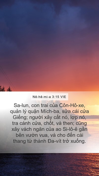 Nê-hê-mi-a 3:15 VIE Bible Verse Image