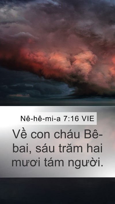 Nê-hê-mi-a 7:16 VIE Mobile Phone Wallpaper - Về con cháu Bê-bai, sáu trăm hai mươi - Mobile Bible Verse Wallpaper