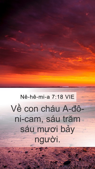 Nê-hê-mi-a 7:18 VIE Mobile Phone Wallpaper - Về con cháu A-đô-ni-cam, sáu trăm sáu - Mobile Bible Verse Wallpaper