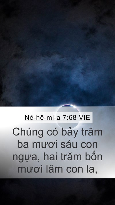 Nê-hê-mi-a 7:68 VIE Mobile Phone Wallpaper - Chúng có bảy trăm ba mươi sáu con ngựa, - Mobile Bible Verse Wallpaper