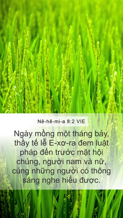 Nê-hê-mi-a 8:2 VIE Bible Verse Image