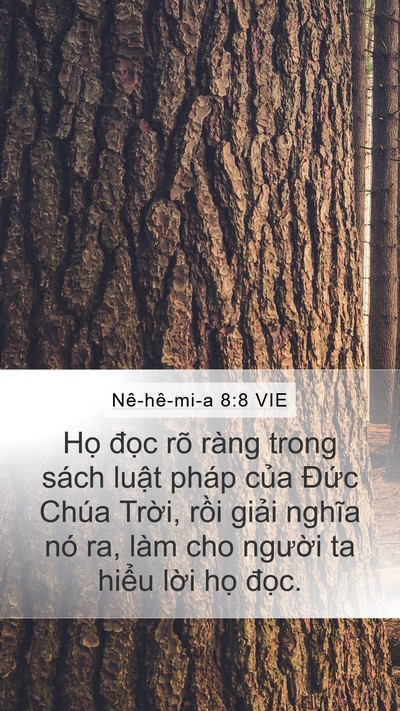 Nê-hê-mi-a 8:8 VIE Bible Verse Image