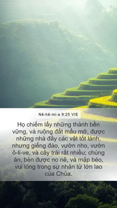 Nê-hê-mi-a 9:25 VIE Bible Verse Image