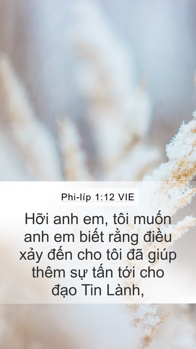 Phi-líp 1:12 VIE Bible Verse Image