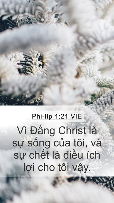 Phi-líp 1:21 VIE Bible Verse Image