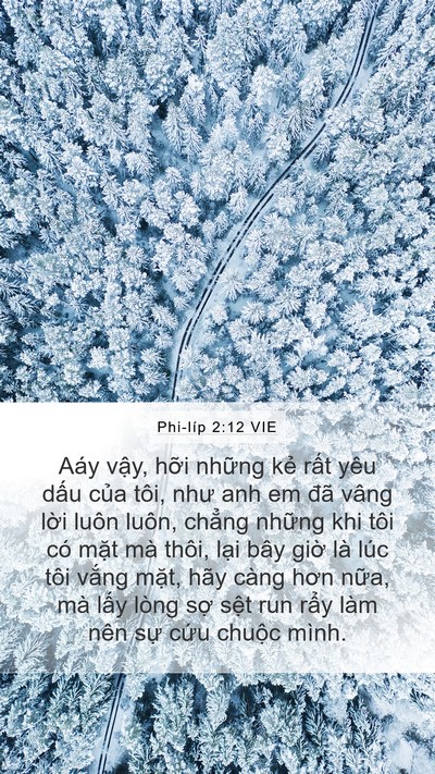 Phi-líp 2:12 VIE Bible Verse Image