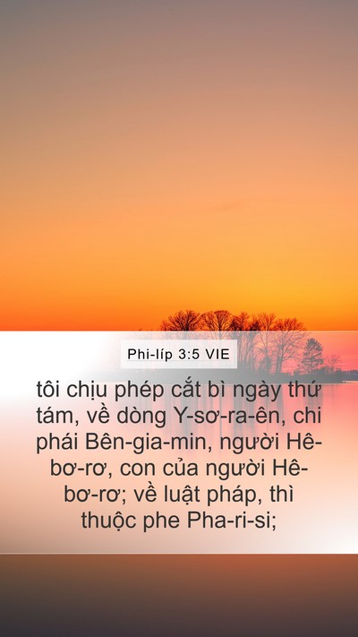 Phi-líp 3:5 VIE Bible Verse Image
