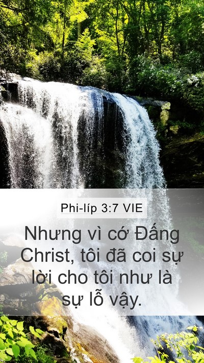 Phi-líp 3:7 VIE Bible Verse Image