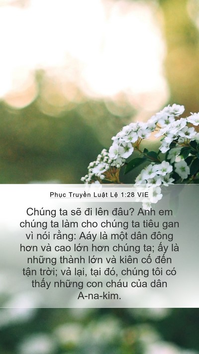 Phục Truyền Luật Lệ 1:28 VIE Bible Verse Image