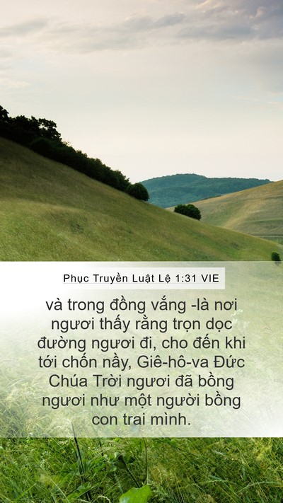 Phục Truyền Luật Lệ 1:31 VIE Bible Verse Image