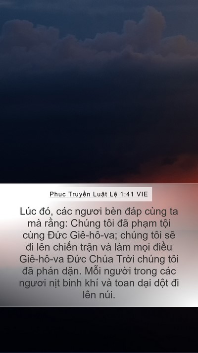 Phục Truyền Luật Lệ 1:41 VIE Bible Verse Image