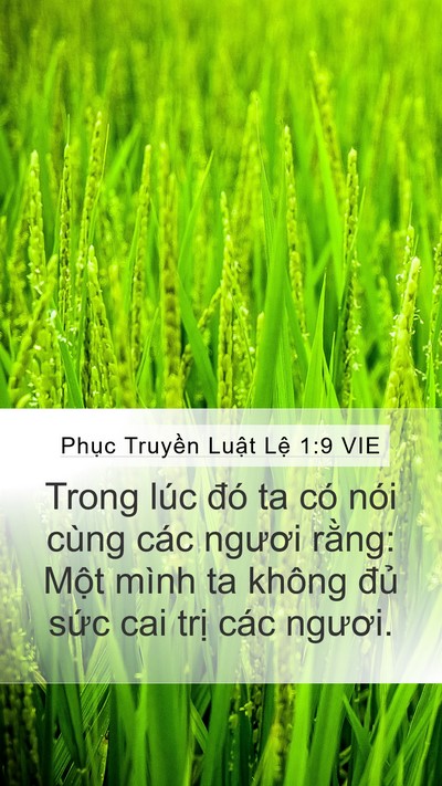 Phục Truyền Luật Lệ 1:9 VIE Bible Verse Image