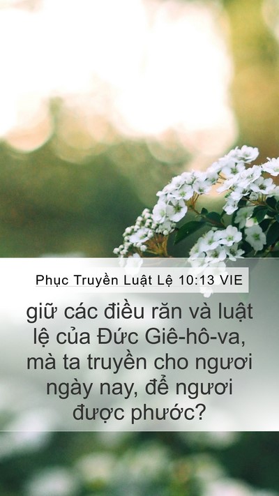 Phục Truyền Luật Lệ 10:13 VIE Mobile Phone Wallpaper - giữ các điều răn và luật lệ của - Mobile Bible Verse Wallpaper