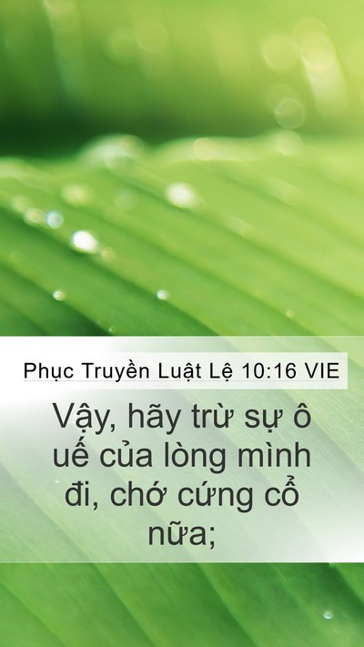 Phục Truyền Luật Lệ 10:16 VIE Bible Verse Image