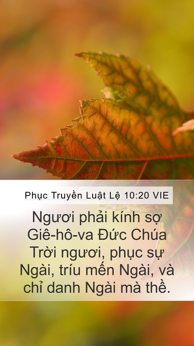 Phục Truyền Luật Lệ 10:20 VIE Bible Verse Image