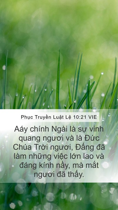 Phục Truyền Luật Lệ 10:21 VIE Bible Verse Image