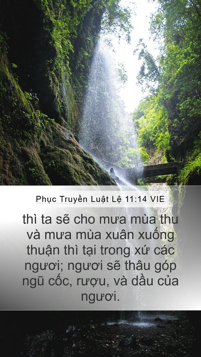 Phục Truyền Luật Lệ 11:14 VIE Bible Verse Image
