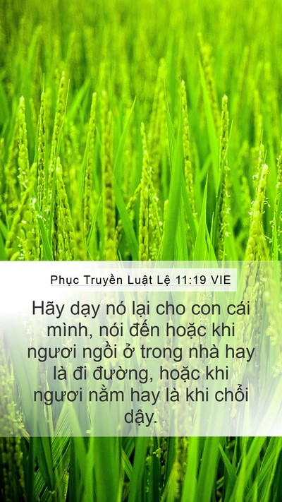 Phục Truyền Luật Lệ 11:19 VIE Bible Verse Image