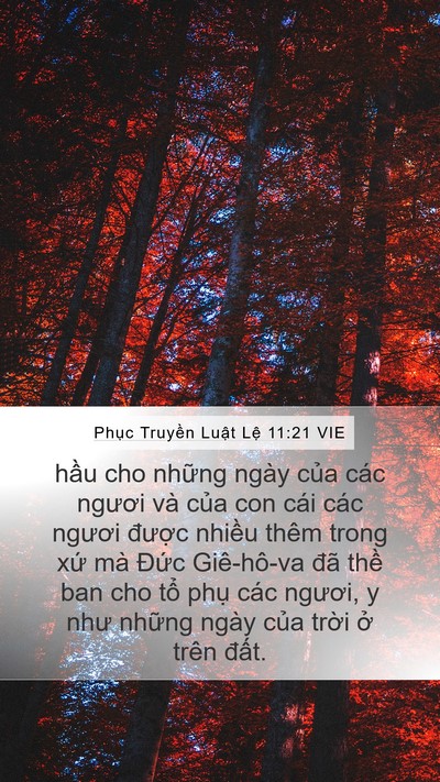 Phục Truyền Luật Lệ 11:21 VIE Mobile Phone Wallpaper - hầu cho những ngày của các ngươi và - Mobile Bible Verse Wallpaper
