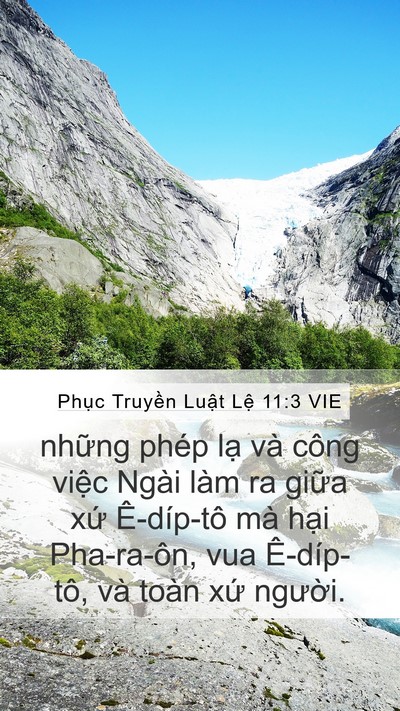 Phục Truyền Luật Lệ 11:3 VIE Mobile Phone Wallpaper - những phép lạ và công việc Ngài làm ra - Mobile Bible Verse Wallpaper