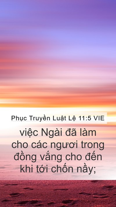 Phục Truyền Luật Lệ 11:5 VIE Mobile Phone Wallpaper - việc Ngài đã làm cho các ngươi trong - Mobile Bible Verse Wallpaper
