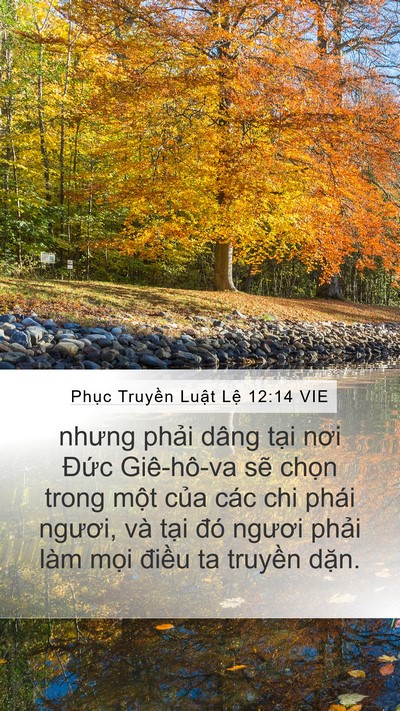 Phục Truyền Luật Lệ 12:14 VIE Bible Verse Image