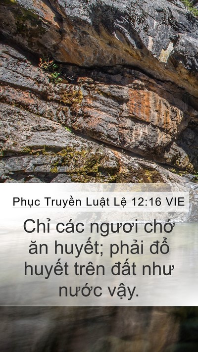 Phục Truyền Luật Lệ 12:16 VIE Bible Verse Image