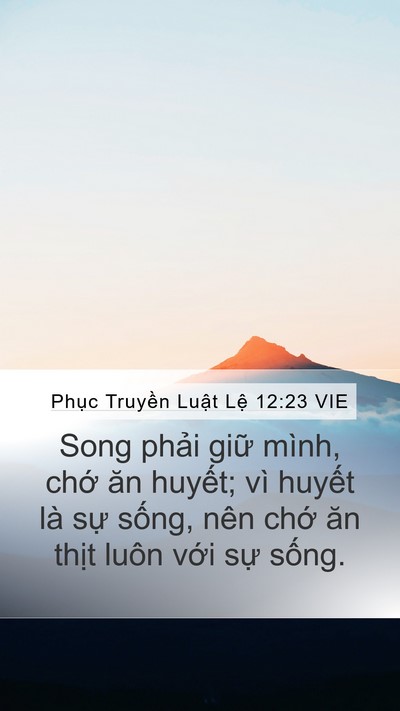 Phục Truyền Luật Lệ 12:23 VIE Mobile Phone Wallpaper - Song phải giữ mình, chớ ăn huyết; vì - Mobile Bible Verse Wallpaper