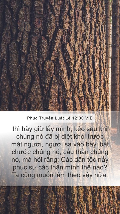 Phục Truyền Luật Lệ 12:30 VIE Bible Verse Image