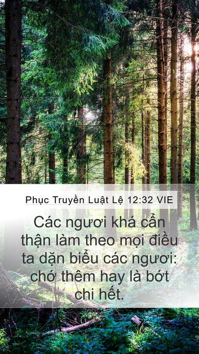 Phục Truyền Luật Lệ 12:32 VIE Bible Verse Image