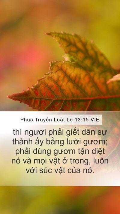 Phục Truyền Luật Lệ 13:15 VIE Bible Verse Image