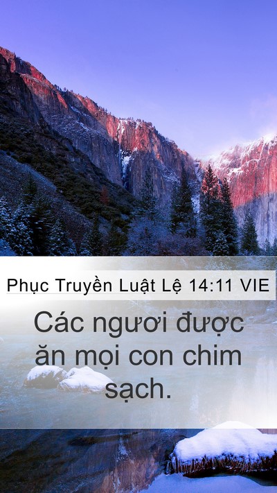 Phục Truyền Luật Lệ 14:11 VIE Mobile Phone Wallpaper - Các ngươi được ăn mọi con chim - Mobile Bible Verse Wallpaper