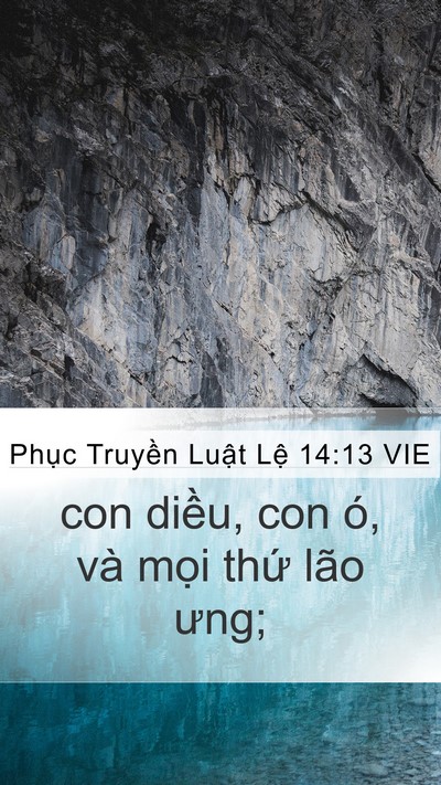 Phục Truyền Luật Lệ 14:13 VIE Mobile Phone Wallpaper - con diều, con ó, và mọi thứ lão - Mobile Bible Verse Wallpaper