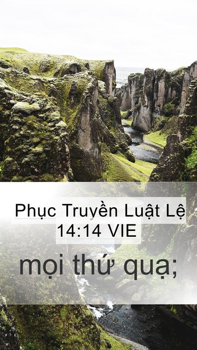 Phục Truyền Luật Lệ 14:14 VIE Mobile Phone Wallpaper - mọi thứ - Mobile Bible Verse Wallpaper