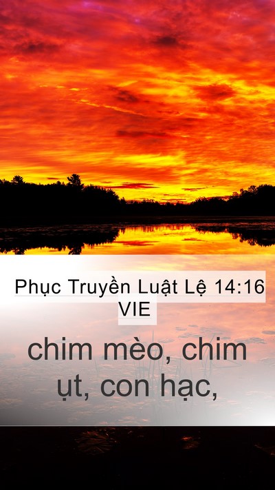 Phục Truyền Luật Lệ 14:16 VIE Mobile Phone Wallpaper - chim mèo, chim ụt, con - Mobile Bible Verse Wallpaper