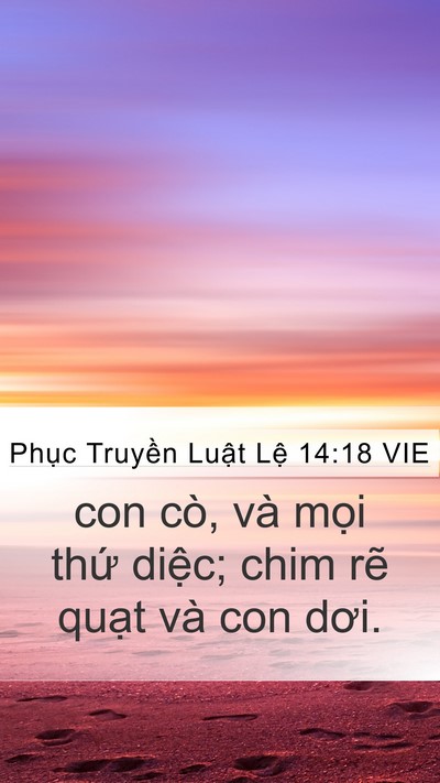 Phục Truyền Luật Lệ 14:18 VIE Mobile Phone Wallpaper - con cò, và mọi thứ diệc; chim rẽ quạt - Mobile Bible Verse Wallpaper