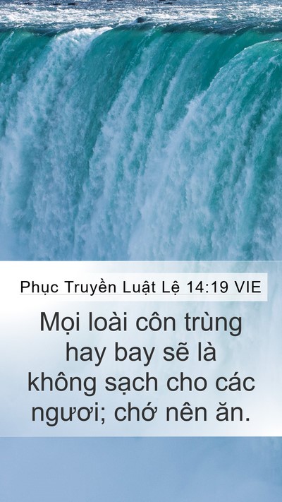 Phục Truyền Luật Lệ 14:19 VIE Bible Verse Image