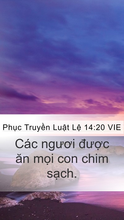 Phục Truyền Luật Lệ 14:20 VIE Mobile Phone Wallpaper - Các ngươi được ăn mọi con chim - Mobile Bible Verse Wallpaper