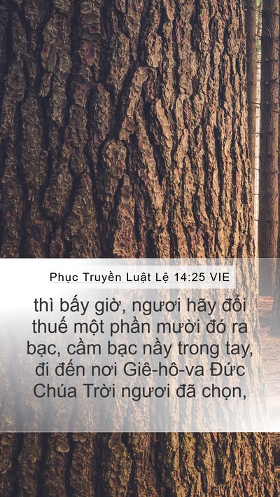 Phục Truyền Luật Lệ 14:25 VIE Bible Verse Image