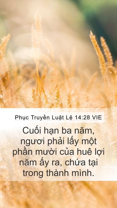 Phục Truyền Luật Lệ 14:28 VIE Bible Verse Image