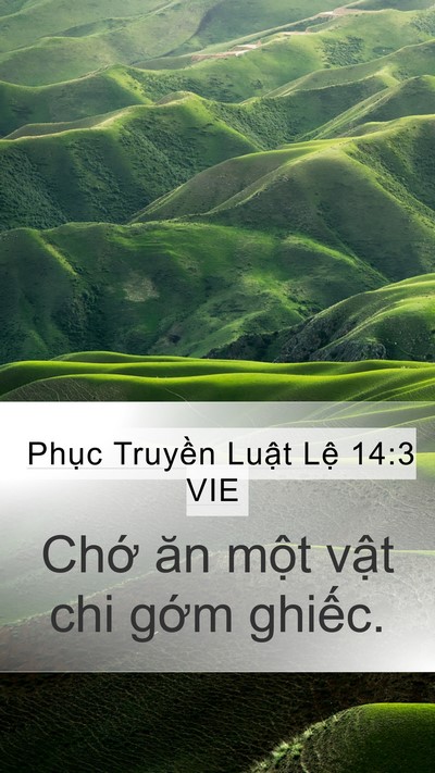 Phục Truyền Luật Lệ 14:3 VIE Bible Verse Image